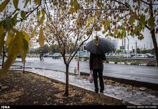 اولین برف سال جاری روی پرآو نشست، رشد بارش های کرمانشاه