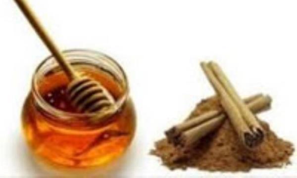 معجزه عسل و دارچین
