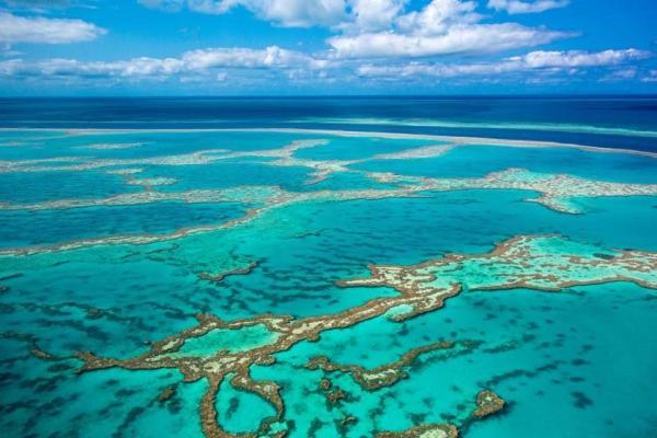 بزرگترین صخره مرجانی جهان