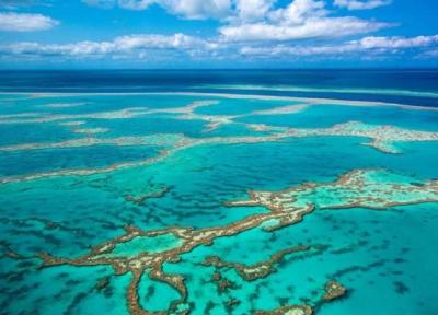بزرگترین صخره مرجانی جهان