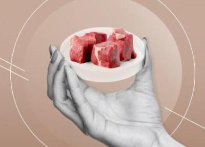 نحوه ساخت گوشت مصنوعی ؛ گوشت مصنوعی جایگزینی برای گوشت حیوانی؟ ، مزایا و معایب گوشت مصنوعی در یک نگاه