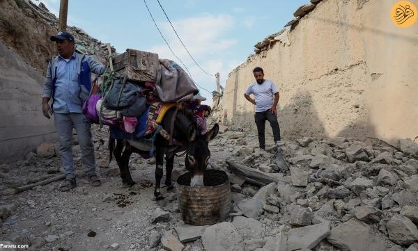 خرها قهرمانان این روزهای منطقه ها زلزله زده مراکش